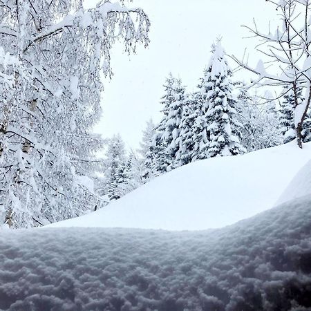 "Chalet Dei Fiori" Room & Apartment Bedretto Exterior photo